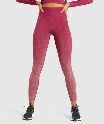 Women Gym Yoga Seamless Pants Sports Clothes