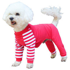 Teddy bear dog four legged clothes